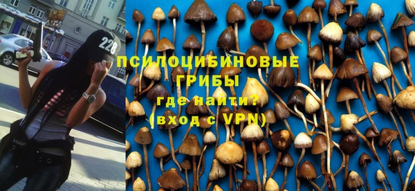 СК Арсеньев