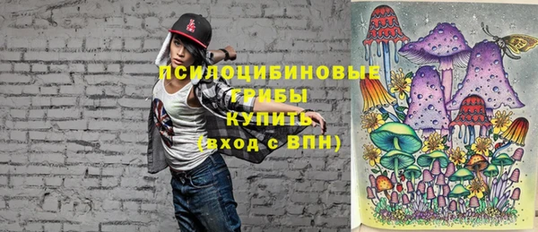 гашик Аркадак